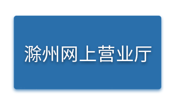 滁州网上营业厅.png