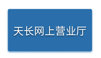 天长网上营业厅.png